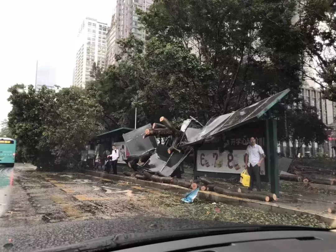 山竹